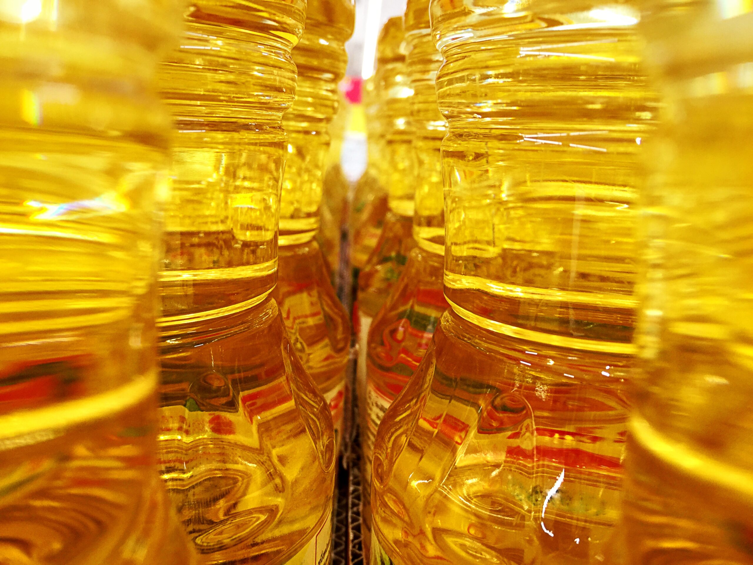 Raccolta olio alimentare esausto a Milano | Il Bottigliolio